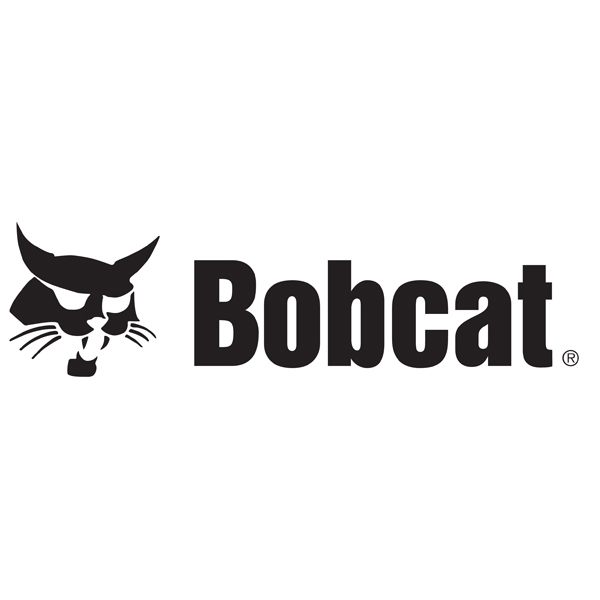 bobcat